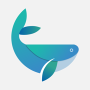 白鲸加速器V2.1.2_海外网络专线加速_手游版_永久免费使用_IOS Android下载
