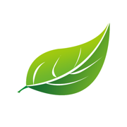 易哈佛题库App-随身考试专家