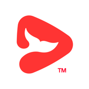 锦书在线App