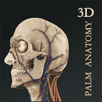 掌上3D解剖V2.3
