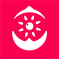 无花果V1.1