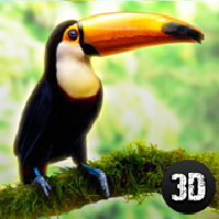 大嘴鸟模拟器3D App