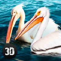 鹈鹕鸟模拟器3D App