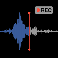 专业录音转文字App