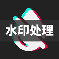 短视频去水印大师V1.2