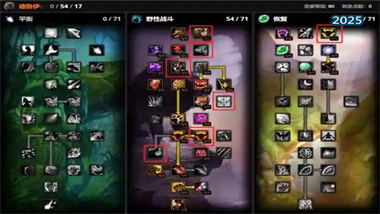 《魔兽世界：巫妖王之怒》猫德鲁伊终极输出指南——从入门到竞速