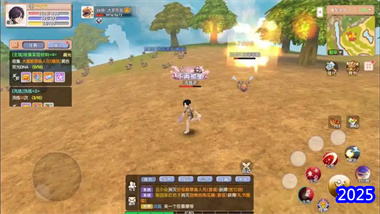 《飞飞手游》圣职者终极培养指南：从战斗流派到辅助玩法的全方位