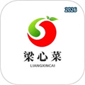 梁心菜V1.0.7