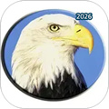 数学之翼V3.4.2