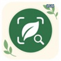 配料小侦探V1.0